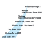 Планы выпуска корпоративной платформы Microsoft 2008.