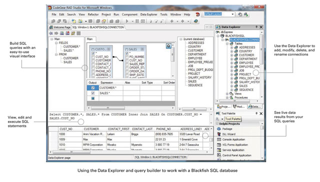 Serial Number Codegear Rad Studio Delphi 2007 Serial Number Codegear Rad Studio Delphi 2007